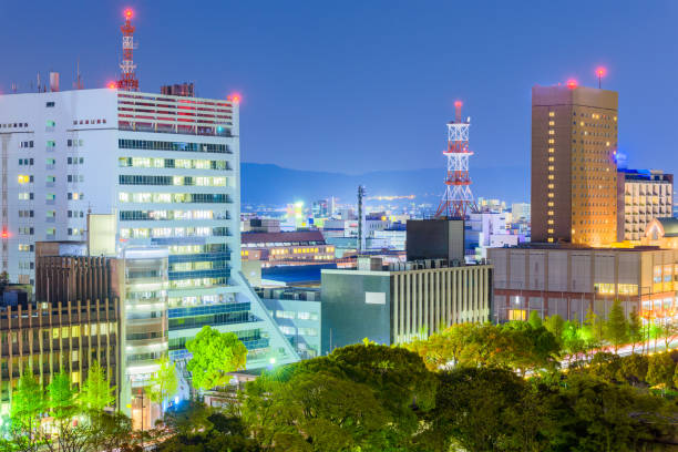 istock Wakayama City, Japan Cityscape 963537398