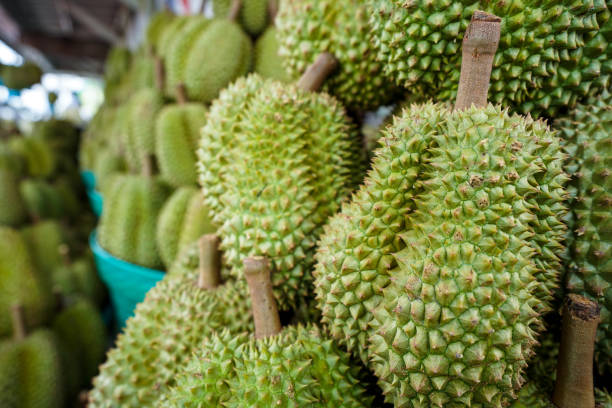 istock Durian on the basket is shelf in thai fruit market 963538356