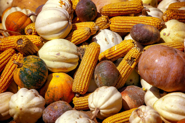 A box of corn.