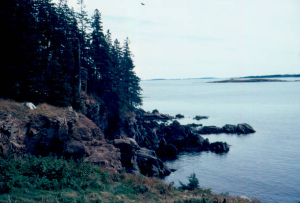 istock Coast of Maine 963544570