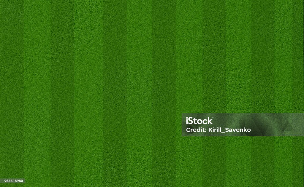 Green meadow grass field for football or soccer Soccer Stock Photo