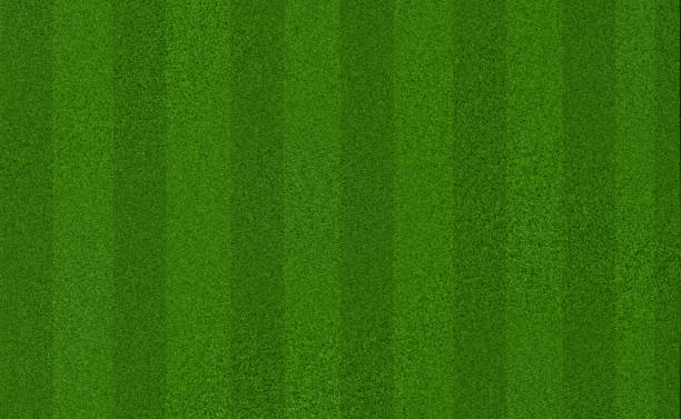 зеленый луг травы поле для футбола или футбола - игровое поле иллюстрации стоковые фото и изображения