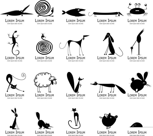 illustrations, cliparts, dessins animés et icônes de ensemble de 20 animaux, de silhouette noire pour votre design - afghan dog