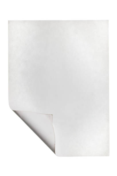 istock Rolled-up piece of paper with space for your text. 963549218