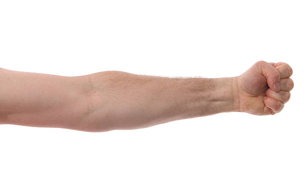 Isolated Arm with Fist stock photo