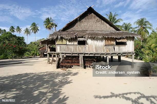 Традиционный Дом В Сепик Человек Папуановая Гвинея — стоковые фотографии и другие картинки Маданг