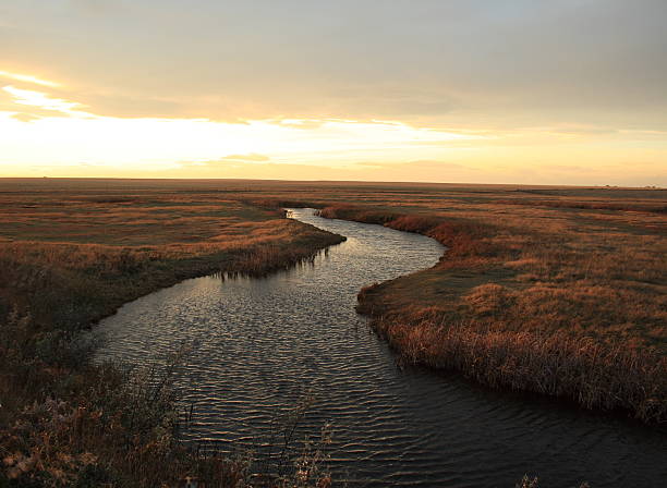 Prairie creek twists through grass at dusk stock photo