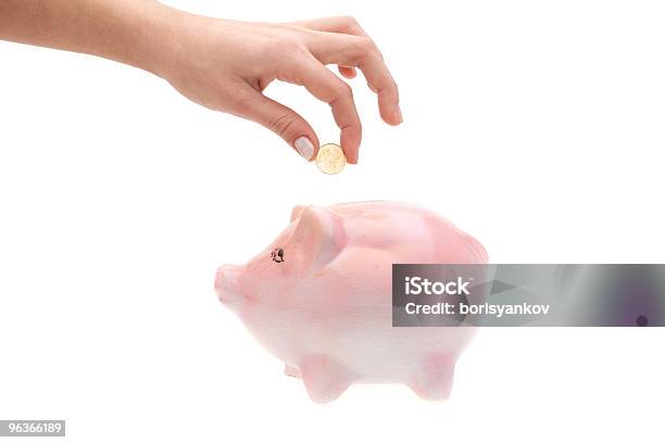 Finanzen Stockfoto und mehr Bilder von Bringing home the bacon - englische Redewendung - Bringing home the bacon - englische Redewendung, Ersparnisse, Europäischer Abstammung