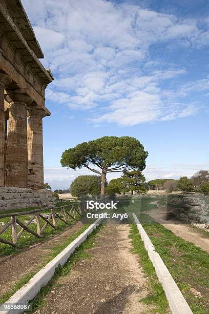 Tempio Di Poseidone Paestum Italia - Fotografie stock e altre immagini di Albero - Albero, Antica Roma, Archeologia