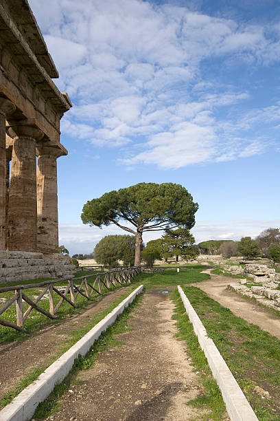 храм poseidon (paestum, италия - temple of neptune стоковые фото и изображения