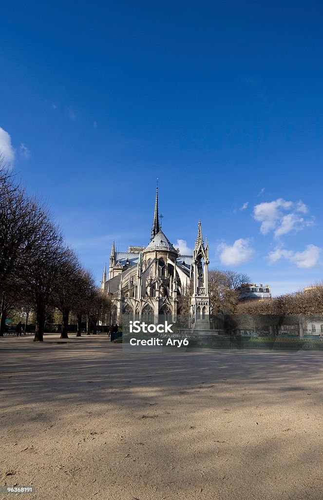 Notre Dame de Paris, Francia - Foto stock royalty-free di Albero