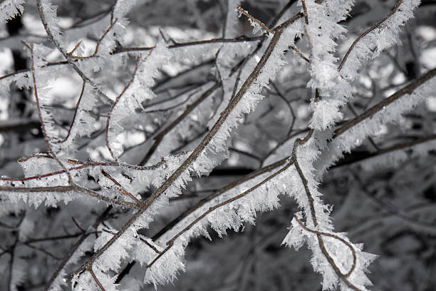 Cold day stock photo