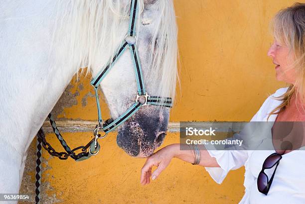 Donna Con Cavallo Bianco - Fotografie stock e altre immagini di 60-64 anni - 60-64 anni, 60-69 anni, Adulto