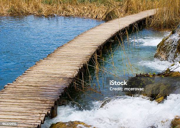 Spaziergang In Der Natur Stockfoto und mehr Bilder von Abenteuer - Abenteuer, Alt, Anführen