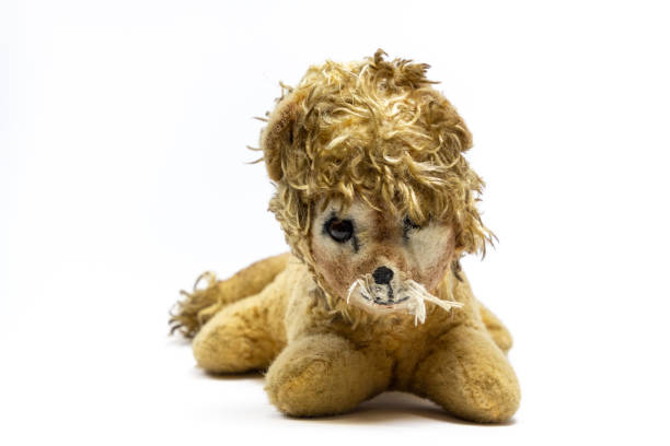 Old, worn, ripped and torn played with stuffed animal lion.