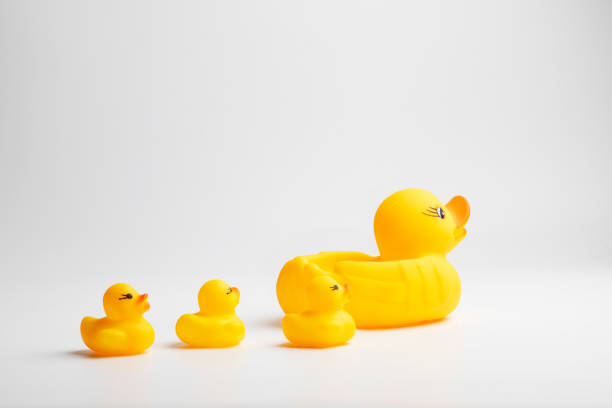 istock Baby ducks toys with mom 963711536