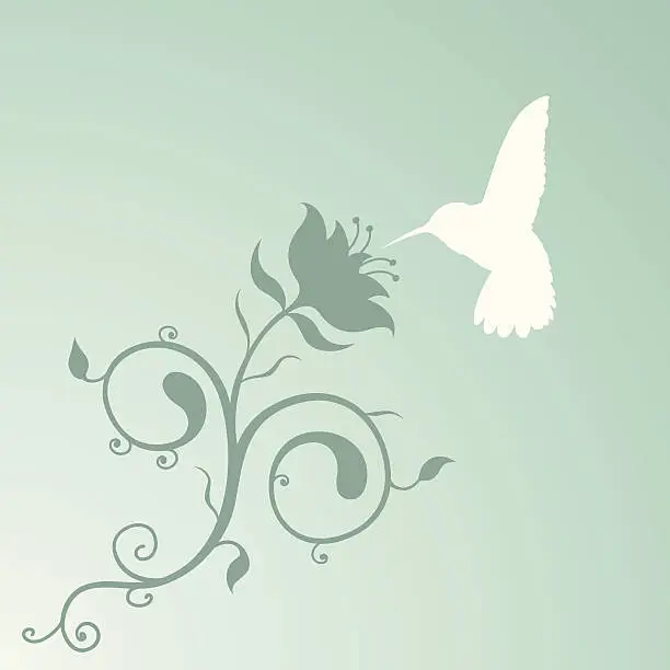 Vector illustration of Humming Bird and a lovely Filigree Plant thing.