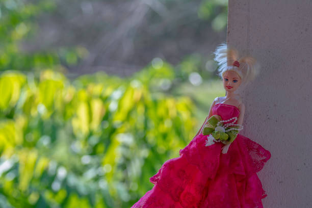 Girl doll on a background blur of fields.