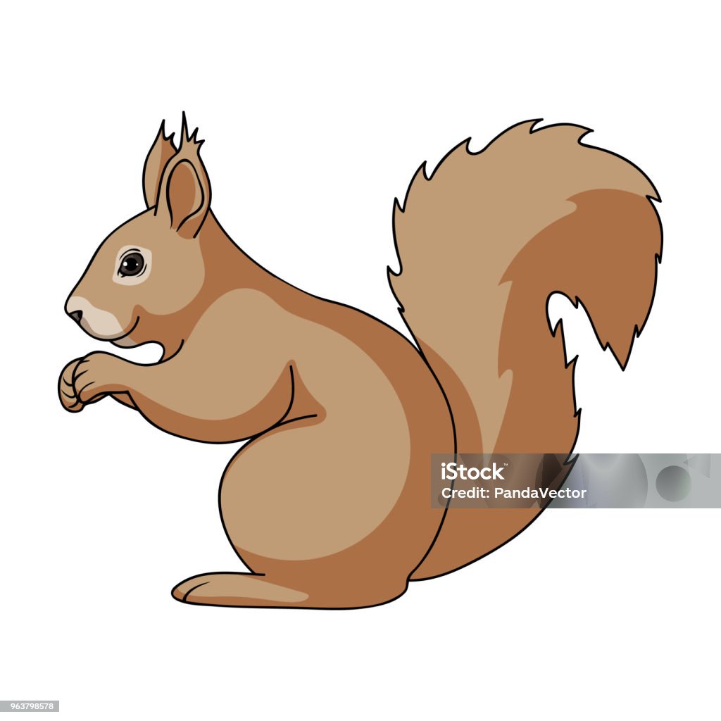 Squirrelanimals Single Icon In Cartoon Style Vector Symbol Stock  Illustration Web Stock Illustration - Download Image Now - iStock