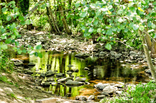 istock Waterfalls of Madrid 963798710