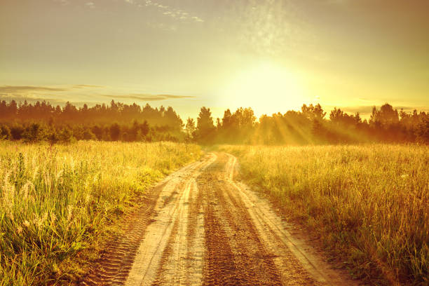 paesaggio con alba e strada - country road foto e immagini stock