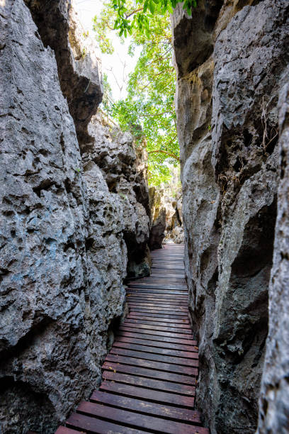 istock Wooden bridge in the narrow gorge 963804646