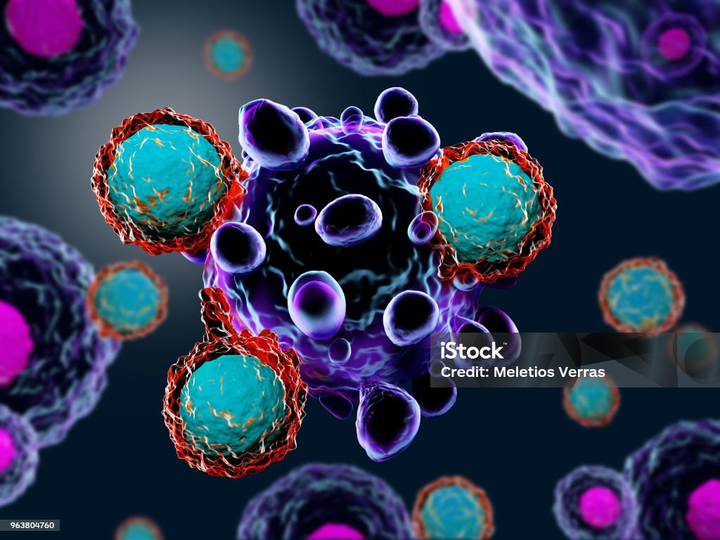 Células T atacan las células cancerosas - Foto de stock de Inmunoterapia libre de derechos