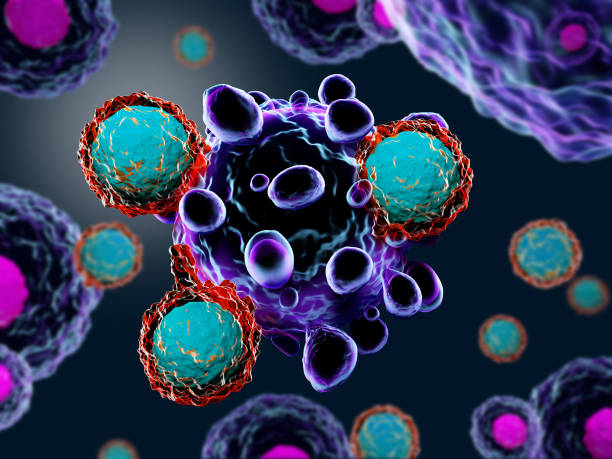 T cells attacking cancer cells 3d render of T cells attacking cancer cells antigen stock pictures, royalty-free photos & images