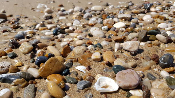 istock Wet sea stones and seashells on wet beach sand 963805650
