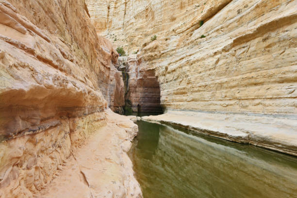 istock The picturesque canyon Ein Avdat 963807928