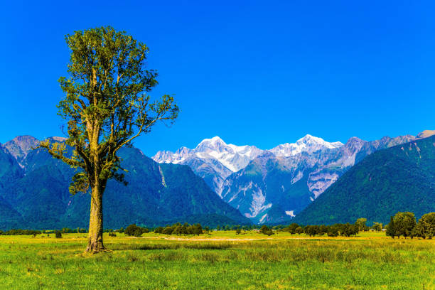 istock Majestic snow-capped peaks 963808194
