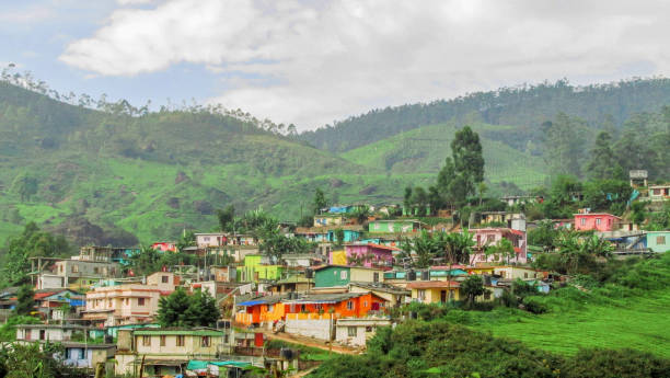 istock houses on mountain with tea plantation 963808636