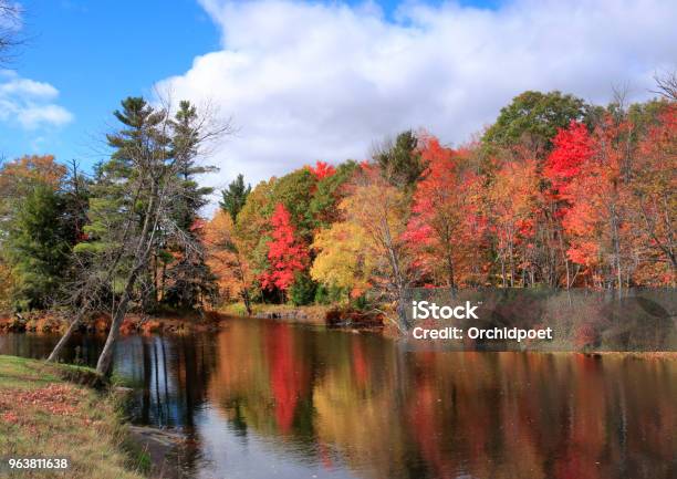 Autumn Leaf Colors By Skootamatta Rive Stock Photo - Download Image Now - Forest, Canada, Autumn Leaf Color