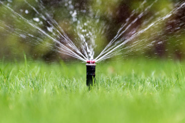 istock Sprinkler in action watering grass 963820496