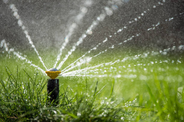 istock Sprinkler in action watering grass 963820518