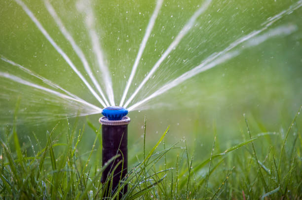 istock Sprinkler in action watering grass 963820530