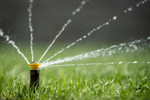 istock Sprinkler in action watering grass 963820544