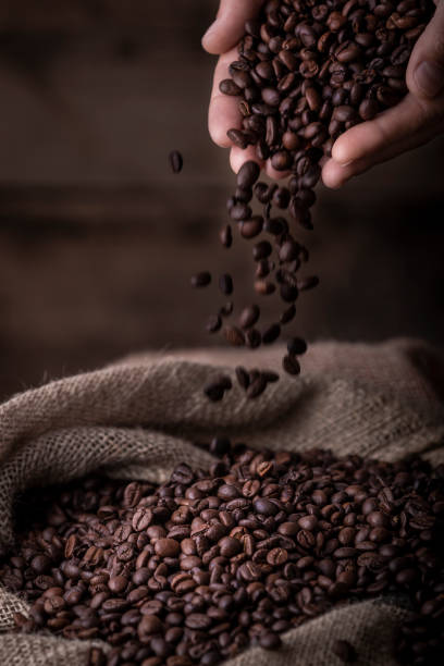 Hands pouring coffee beans to sack stock photo