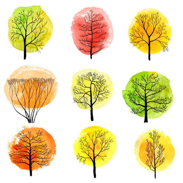 vector set of deciduous trees vector set of autumn deciduous trees with watercolor foliage, hand drawn isolated natural elements linden new jersey stock illustrations