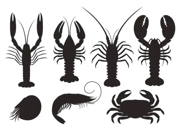 Vector illustration of Set of vector silhouettes lobster, crab, spiny lobster, shrimp, nautilus, crayfish, langoustine. Seafood