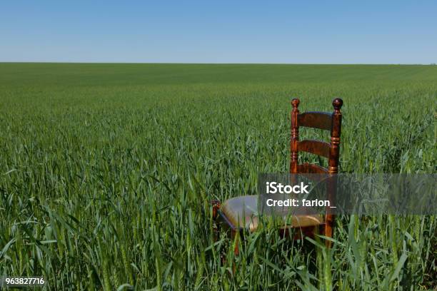 Mahogany Chair With Gilding On A Green Wheat Field Stock Photo - Download Image Now - Agricultural Field, Chair, Agriculture