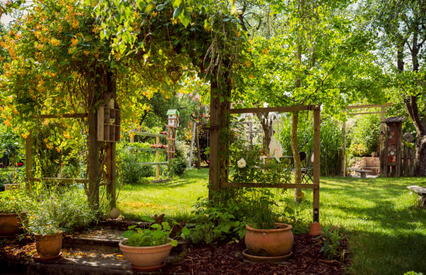 istock Arbor Gate in a beautiful green garden 963831070