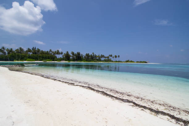 istock Landscape of Maldives 963831420