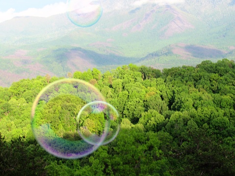 Burbujas en la naturaleza por encima de las montañas y los árboles photo