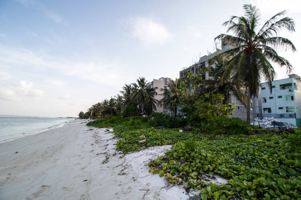 istock Landscape of Maldives 963834126