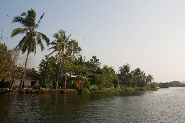 istock Landscape of Kerala Backwaters 963835894