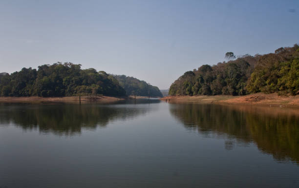 istock Landscape of Periyar Tiger Reserve 963838204