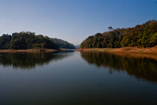 istock Landscape of Periyar Tiger Reserve 963838228