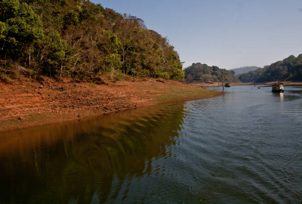 istock Landscape of Periyar Tiger Reserve 963838346