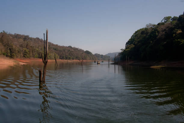 Landscape of Periyar Tiger Reserve